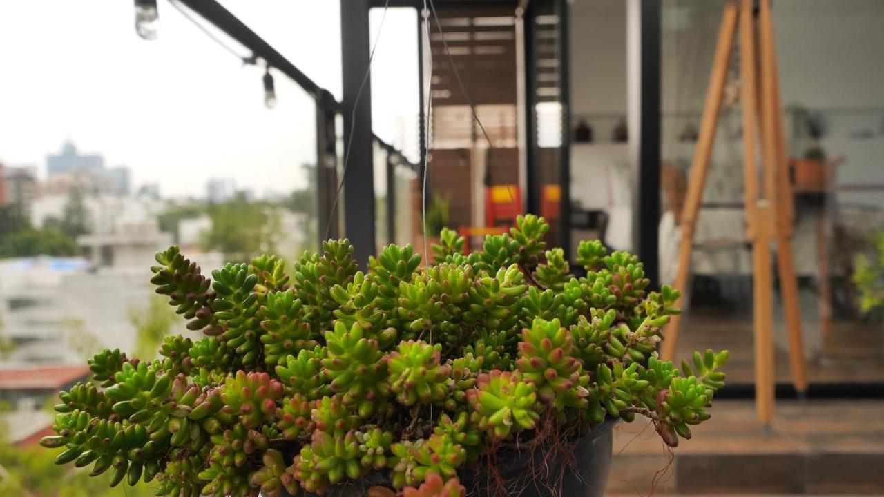 Loft Remedios - Penthouse Cdmx - Areas Comunes Compartidas เม็กซิโกซิตี้ ภายนอก รูปภาพ
